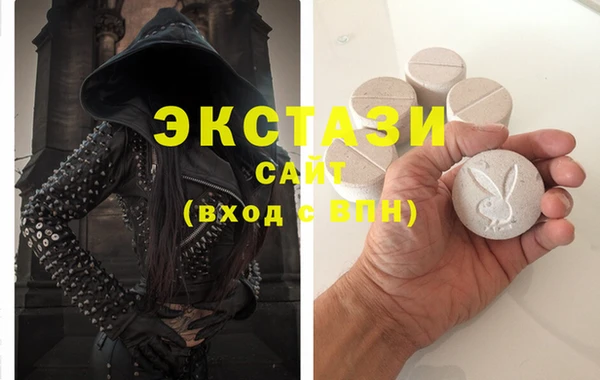 крисы Краснослободск