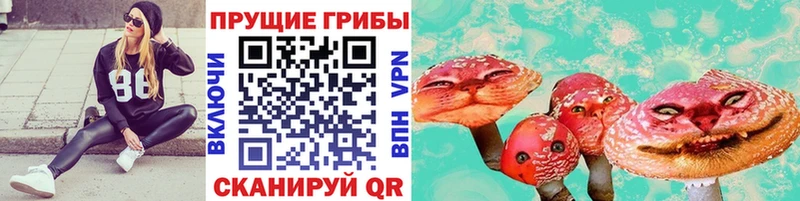 Псилоцибиновые грибы прущие грибы  Зея 